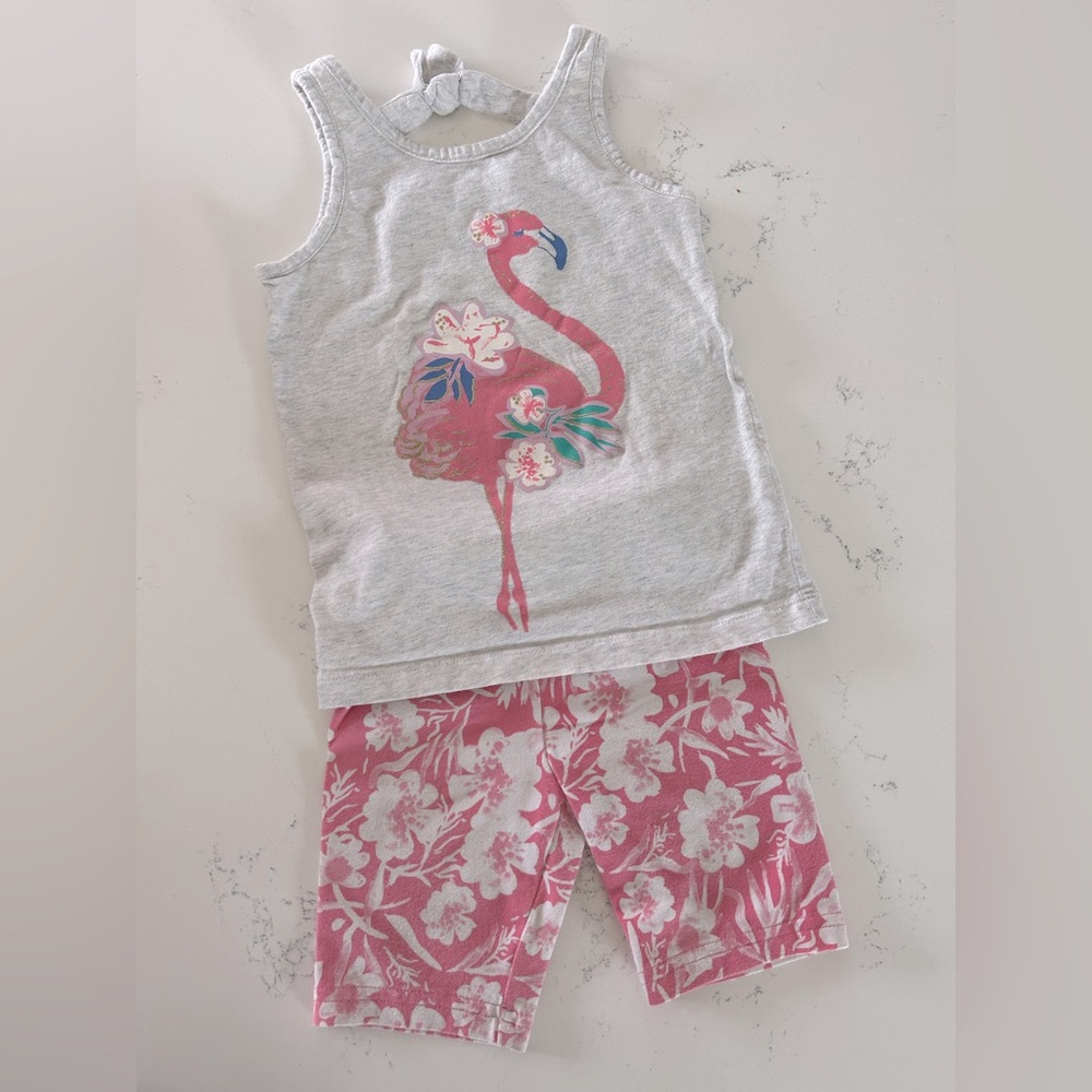 Carters Toddler Girl Outfit!